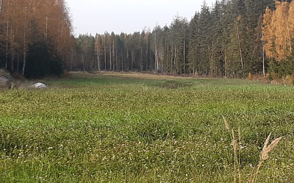 20211003_135329